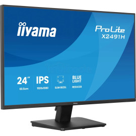 Écran 24" Iiyama ProLite X2491H-B1 Full HD 120Hz (Noir)