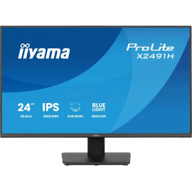 Écran 24" Iiyama ProLite X2491H-B1 Full HD 120Hz (Noir)