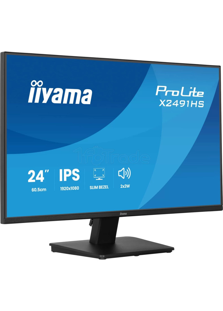 Écran 24" Iiyama ProLite X2491HS-B1 Full HD 120Hz (Noir)