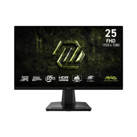 Écran MSI MAG 256F E20 (9S6-3BC2CM-077)