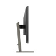 Écran Philips P Line 439P1/00 LED display 108 cm (42.5") 3840 x 2160 pixels 4K Ultra HD Noir