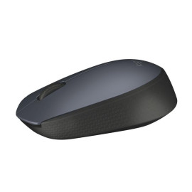 Souris Logitech M170 Grey-K souris Bureau Ambidextre RF sans fil Optique 1000 DPI (910-004642)
